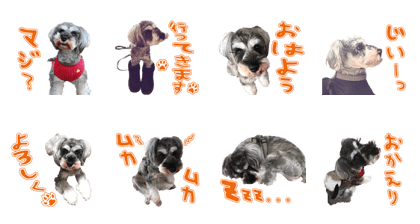 Hinachan's Sticker