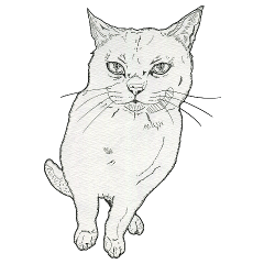 Monochrome cats (English)