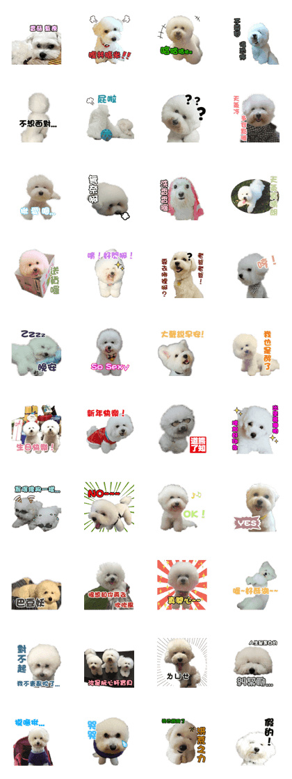 I Love Bichon Frise