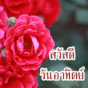Flowers greeting