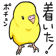 Bird Paradise