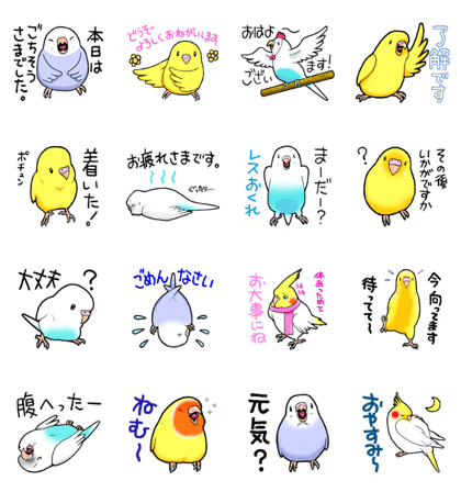 Bird Paradise