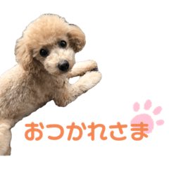 nanami_20201201141506