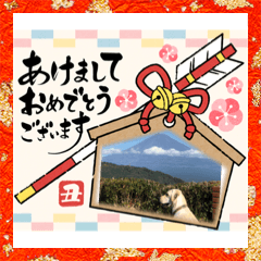 hanamama_20201201132459