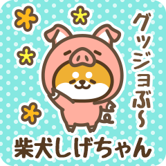 Petit Shiba Shigechan (Joke Animal)