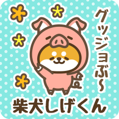 Petit Shiba Shigekun (Joke Animal)