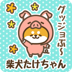 Petit Shiba Takechan (Joke Animal)