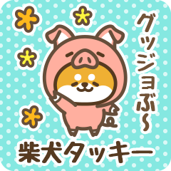 Petit Shiba Takkii (Joke Animal)