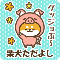 Petit Shiba Tadayoshi (Joke Animal)