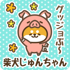 Petit Shiba Junchan (Joke Animal)