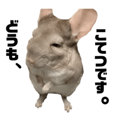 natsumi_20201130230947