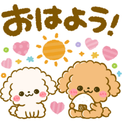 デカ文字♡ふわもこ♡トイプー