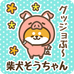 Petit Shiba Souchan (Joke Animal)