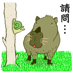 a capybara and its neighbors 5