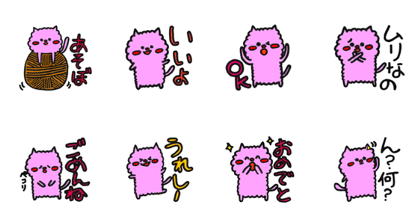 KONEKOKKO