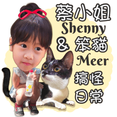Miss Tsai and Meer's funy diary