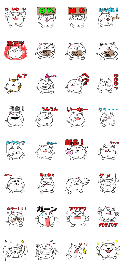 Shikamarukun of a cat