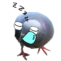 Doodle on pigeon's face2-BIG