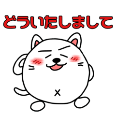 Shikamarukun of a cat 2