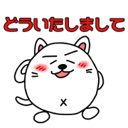 Shikamarukun of a cat 2