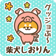 Petit Shiba Shiorin (Joke Animal)