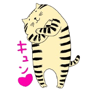 ginger cat