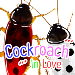 Cockroach In Love