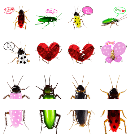 Cockroach In Love