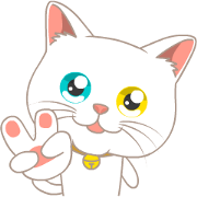 What a cute cat