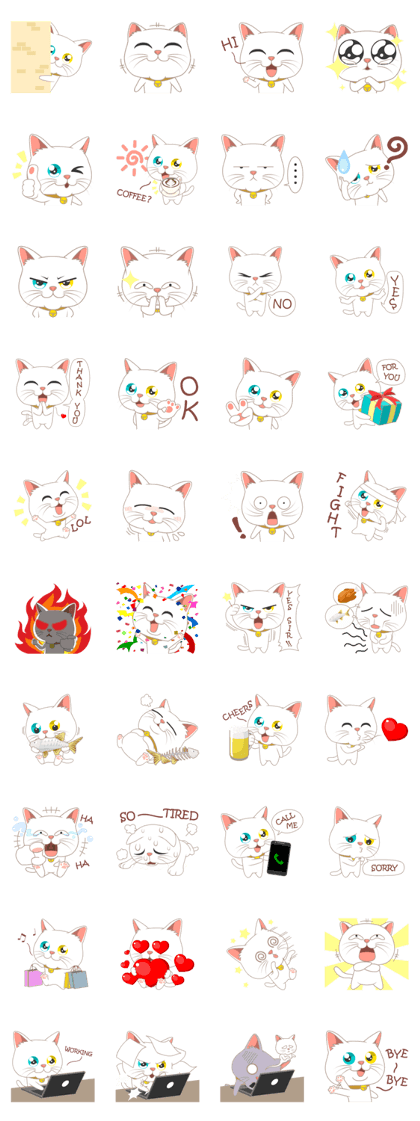 What a cute cat