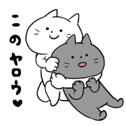 Fighting cats