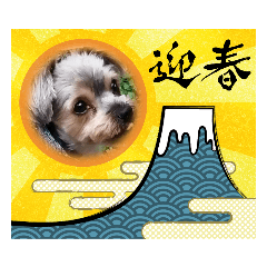 メイちゃんのお正月