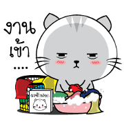 Mr. cat one