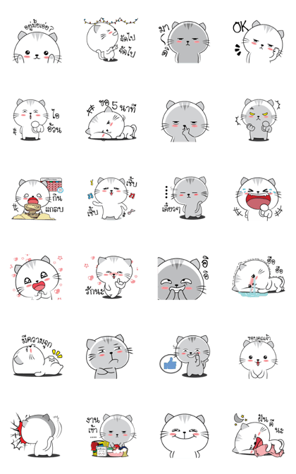 Mr. cat one