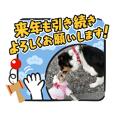 メイの親友のお正月