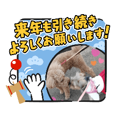 メイのBFのお正月