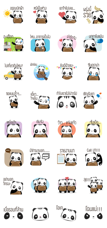 Awake Panda