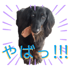 Nagisa_20201201204620