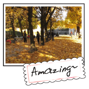 Landscape postcards series1
