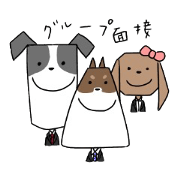 new university students puppies