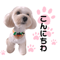 saori_20201201225941