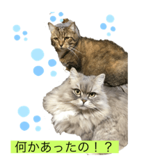 kii_20201201232103