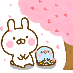 Rabbit Usahina friendly spring