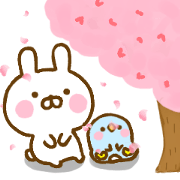 Rabbit Usahina friendly spring