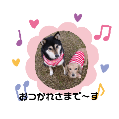 nozomi_20201202001732