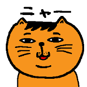 Cat bangs