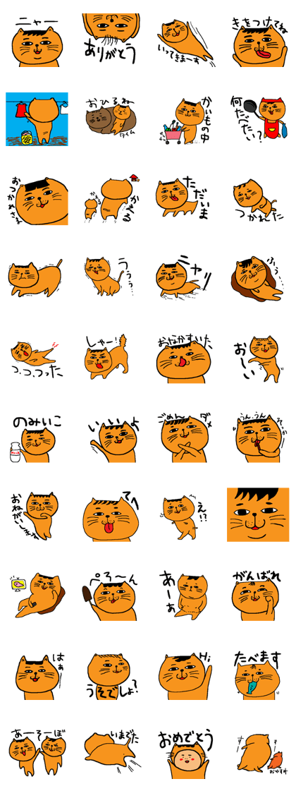 Cat bangs