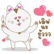 happy fat cat