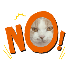 nozomi_20201201200351