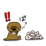 He is Mr. Sea otter